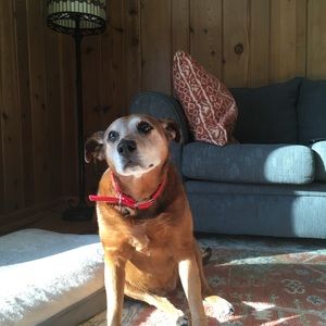 Meet your Posher, Jared